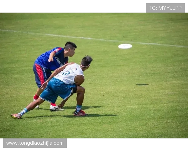 飞盘力量排行榜揭晓杭州飞盘队荣登第十名展现实力与潜力